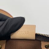 LOUIS VUITTON SPEEDY NANO MONOGRAM CROSSBODY