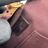 LOUIS VUITTON FAVOURITE PM MONOGRAM MULTI WAY CROSSBODY BAG