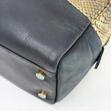 CHANEL IRRIDESCENT GOLD PYTHON & BLK CALF LEA BOWLER BAG
