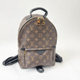 LOUIS VUITTON PALM SPRINGS PM BACKPACK MONOGRAM
