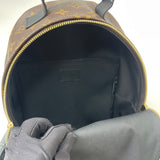 LOUIS VUITTON PALM SPRINGS PM BACKPACK MONOGRAM