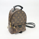 LOUIS VUITTON PALM SPRINGS MINI BACKPACK MONOGRAM - BLuxe Boutique