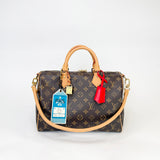 LOUIS VUITTON SPEEDY SOFT 30 CRAFTY - BLuxe Boutique