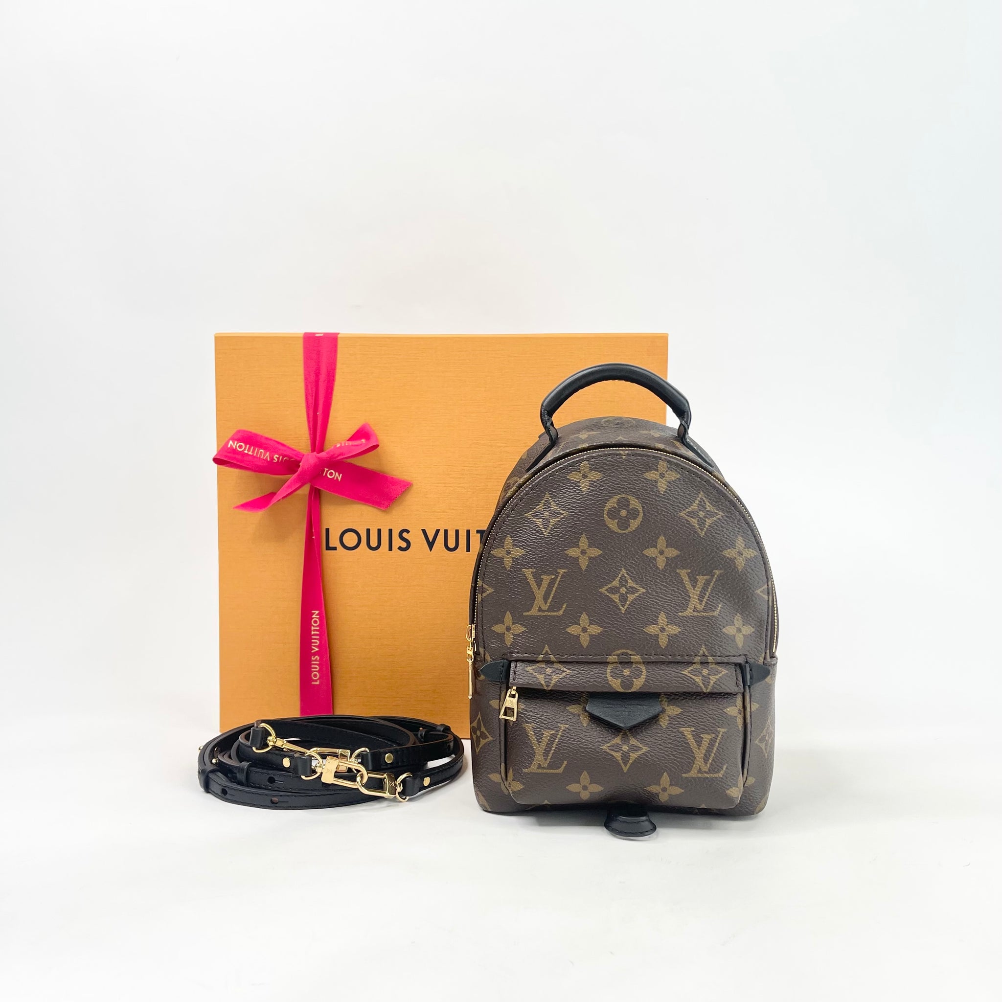 LOUIS VUITTON PALM SPRINGS MINI BACKPACK MONOGRAM NEW ZIPPER VERSION BLuxe Boutique