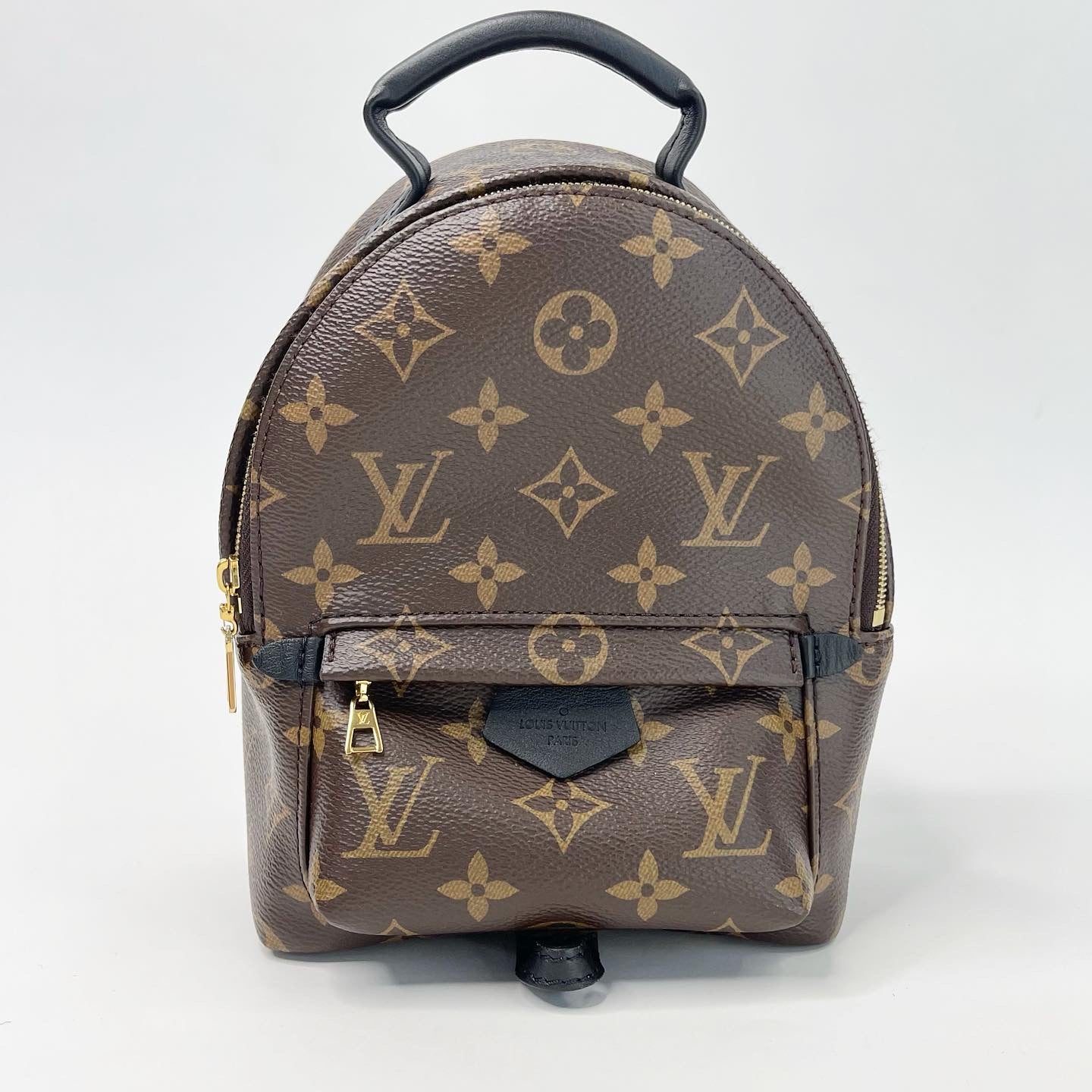 LOUIS VUITTON PALM SPRINGS MONOGRAM MINI BACKPACK NEW ZIPPER MODEL BLuxe Boutique