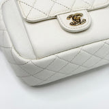 CHANEL DAY CAMERA CASE CROSSBODY IN WHT CAVIAR LEA & LT GHW