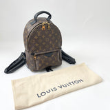 LOUIS VUITTON PALM SPRINGS PM BACKPACK MONOGRAM