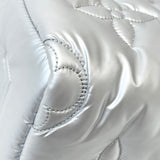 LIMITED EDITION LOUIS VUITTON SPEEDY 25 BANDOULIERE IN SILVER METALLIC PILLOW & SHW