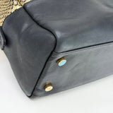 CHANEL IRRIDESCENT GOLD PYTHON & BLK CALF LEA BOWLER BAG