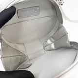 CHANEL ROUND AS EARTH CROSSBODY IN METALLIC LEA & SHW - BLuxe Boutique