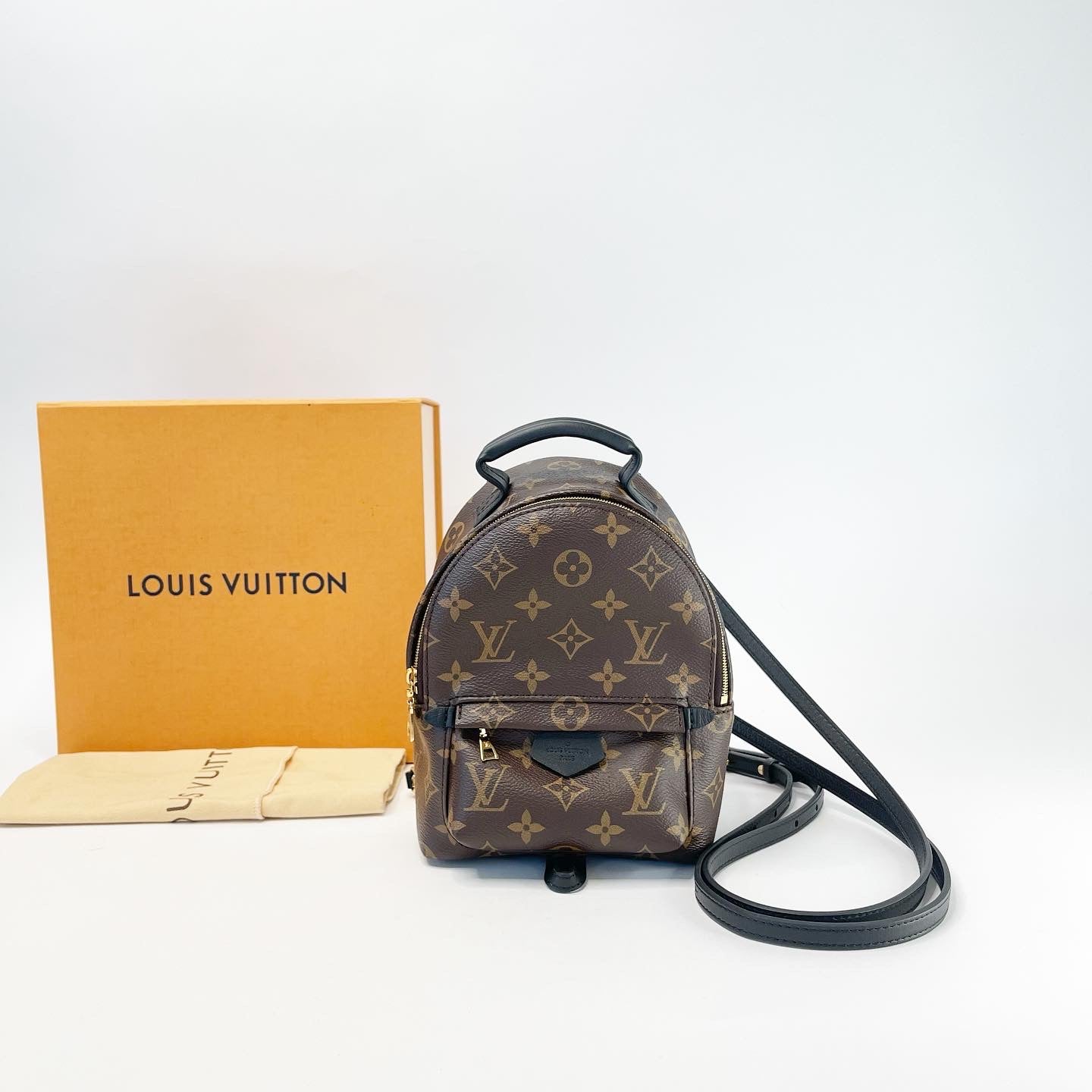 Louis Vuitton Palm Springs Reverse Monogram Mini Brown  lupongovph