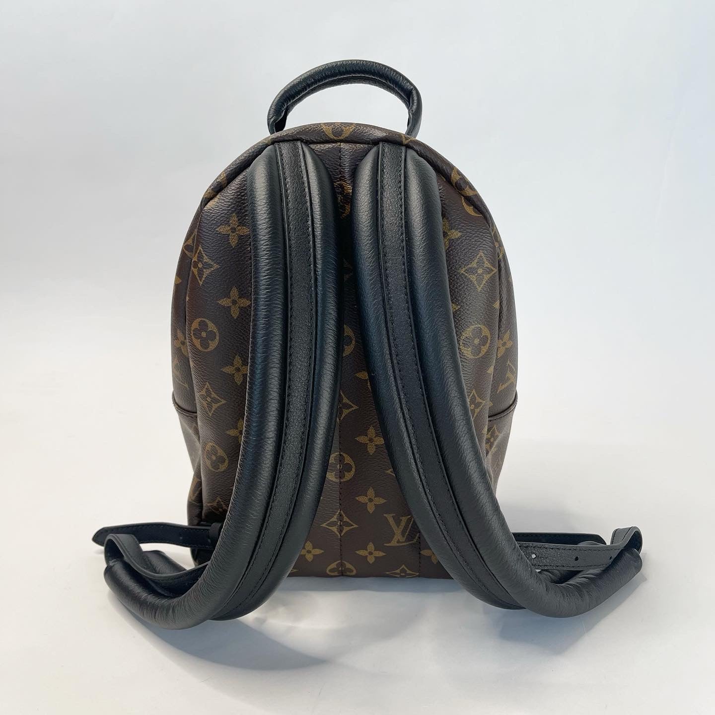 LOUIS VUITTON PALM SPRINGS PM BACKPACK – BLuxe Boutique